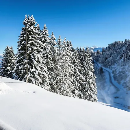 Le Cyclamen By Interhome Σαλέ *