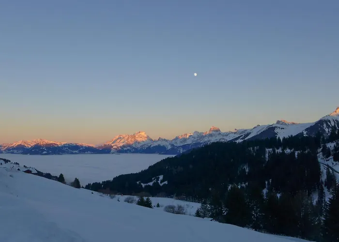 Le Cyclamen By Interhome